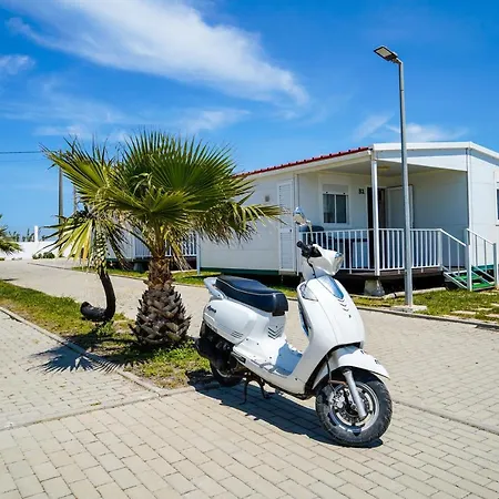 Urban Art By Campigir