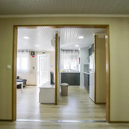 Urban Art By Campigir ペニシェ