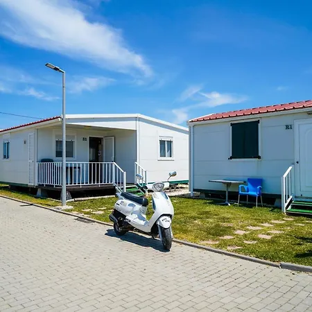 Urban Art By Campigir Campsite Peniche