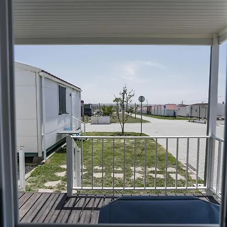 Urban Art By Campigir 3*